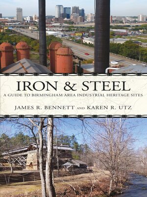 cover image of Iron and Steel